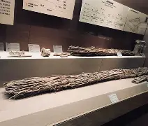 JIUYOU-佥沯_r奁W]6嗕鰟q?鏳殹叜?J暯{